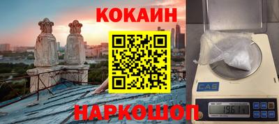 крисы Дубна