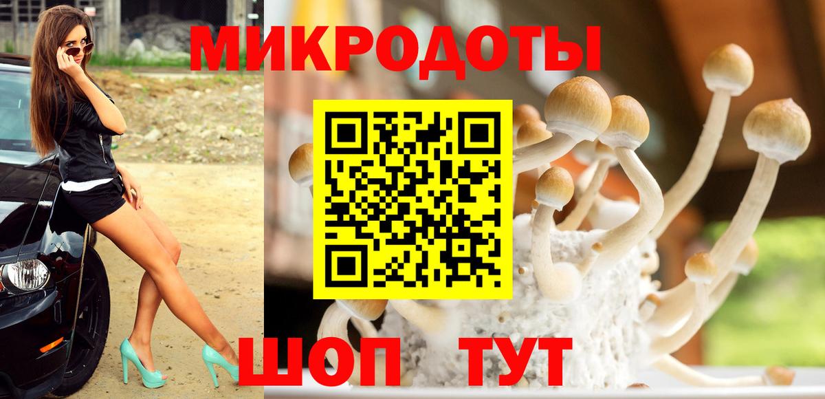Галлюциногенные грибы мухоморы Изобильный