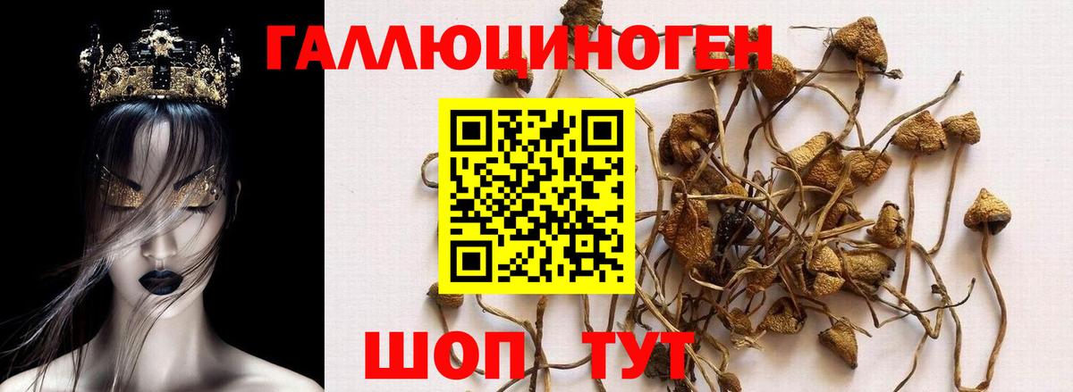 Псилоцибиновые грибы ЛСД  Изобильный 