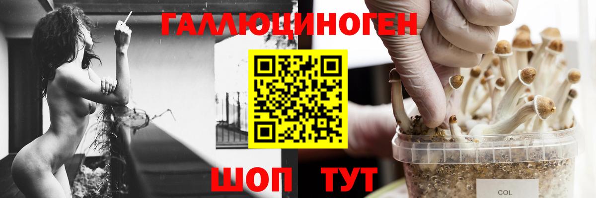 Псилоцибиновые грибы Magic Shrooms Изобильный